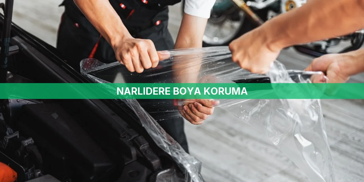 Narlıdere Boya Koruma
